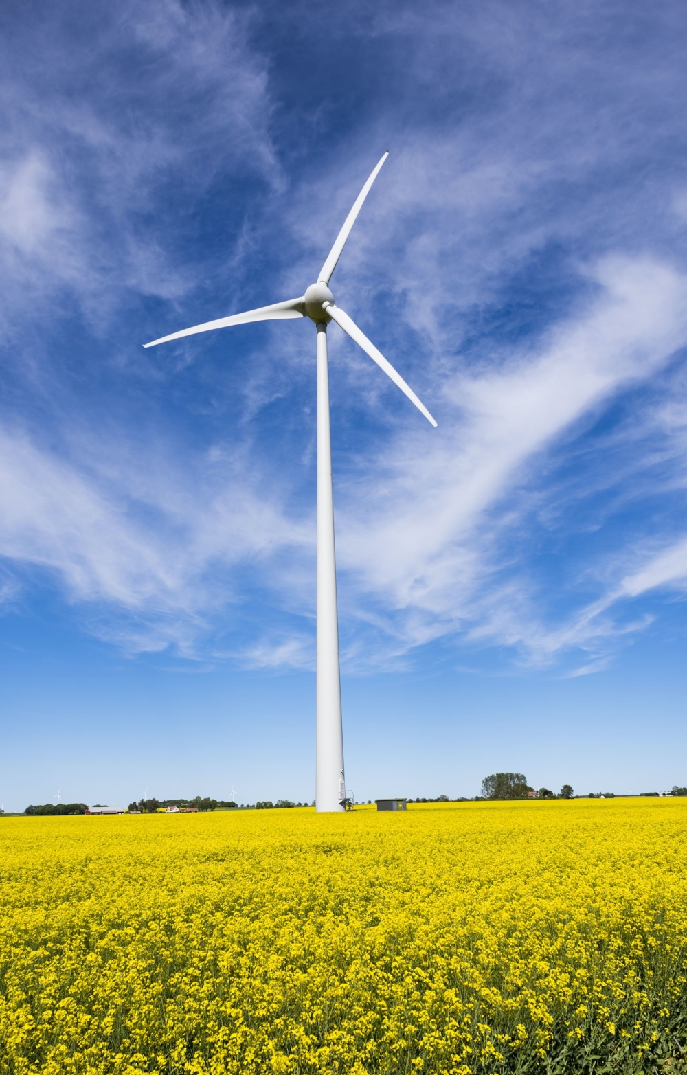 sustainability reporting