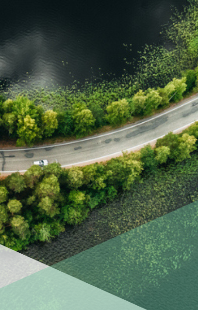 The long and winding road with trees bordering both sides
