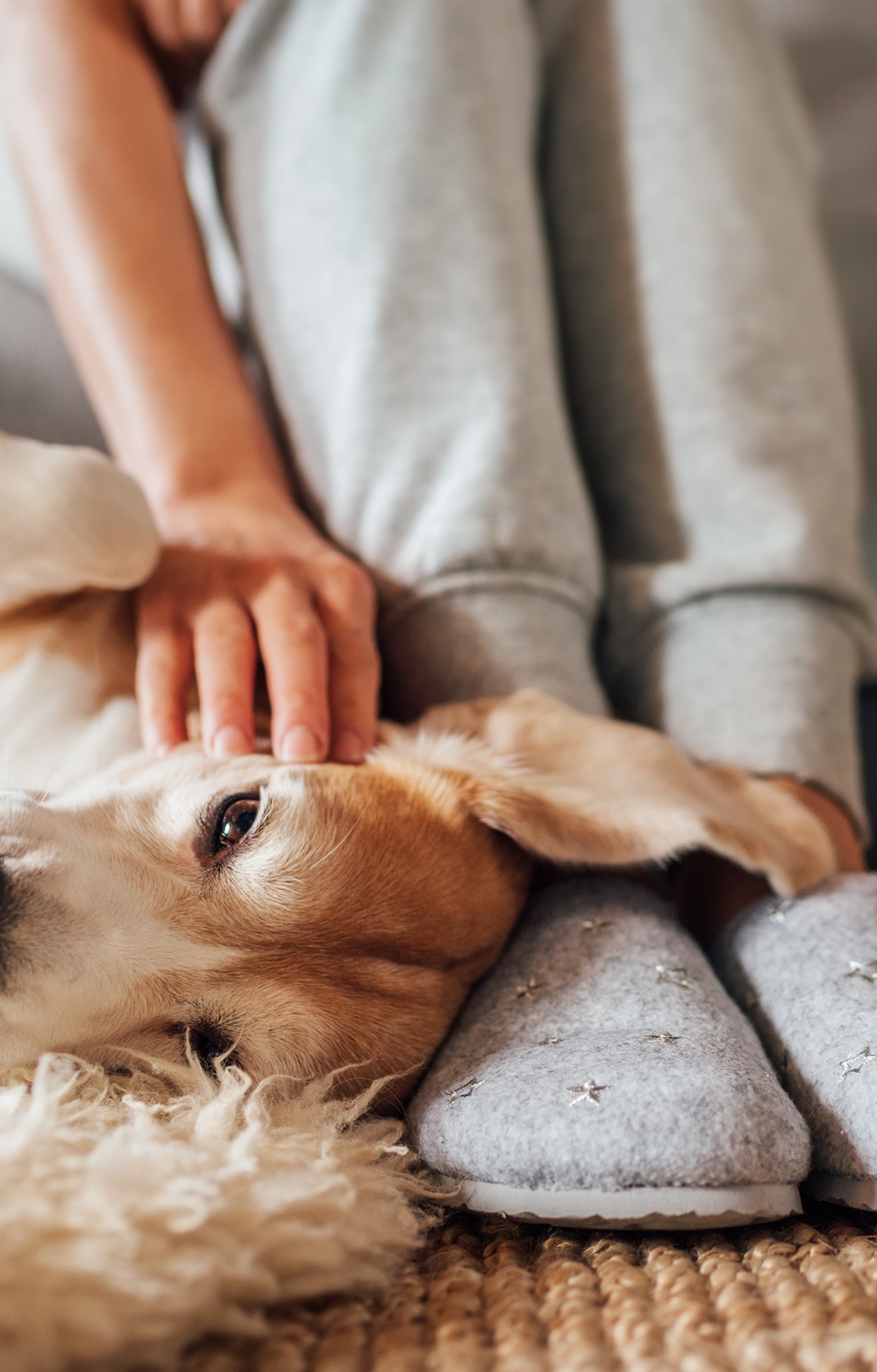 pensions report IIFA