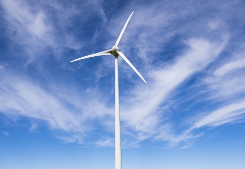 sustainability reporting