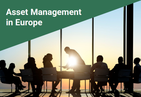 Asset management report 2021 EFAMA 